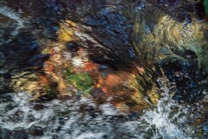 Jean-Francois Robert - Springs, Golden Bay - New Zealand février 2017