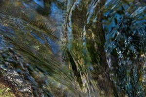 Jean-Francois Robert - Vallon de l'Aiguebrun - Provence septembre 2019