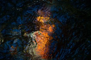 Jean-Francois Robert - Springs, Golden Bay - New Zealand février 2018