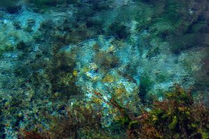 Jean-Francois Robert - Springs, Golden Bay - New Zealand décembre 2022